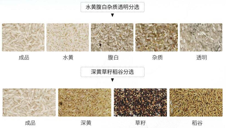物料颜色进行自动分选的机器 色选机(图2) 大米色选机