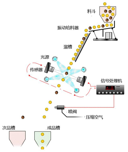 物料颜色进行自动分选的机器 色选机(图3) 大米色选机